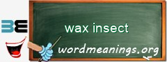 WordMeaning blackboard for wax insect